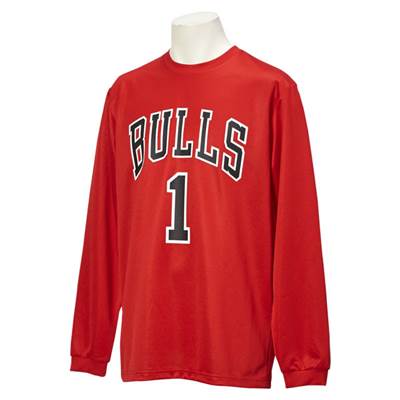 【好配色✨】ホーネッツ バスケ シャツ ロンT NBA 90年代 NBA CHARLOTTE HORNETS チームロゴ プリントTシャツ メンズXL