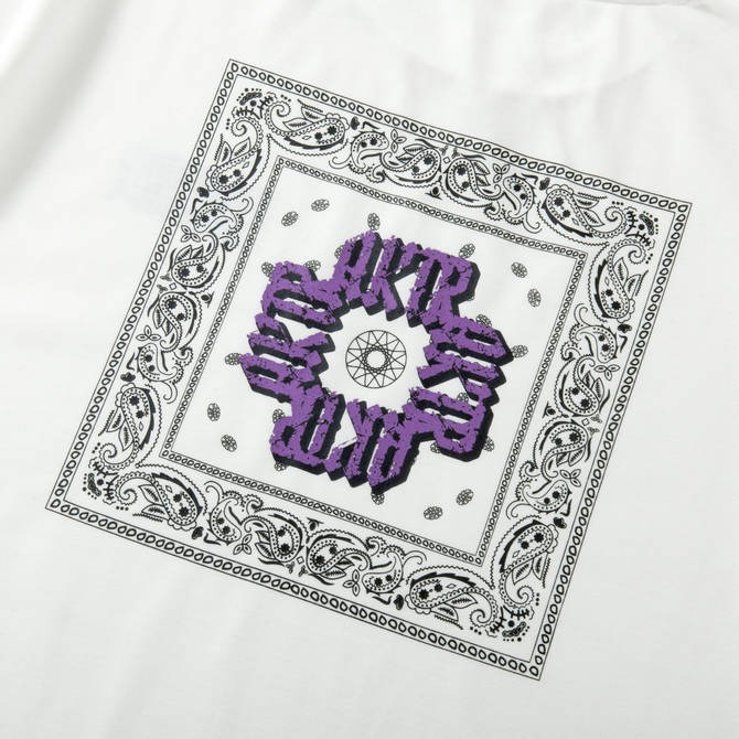 AKTR PAISLEY LOGO DRYTECH TEE WH【223-033005】