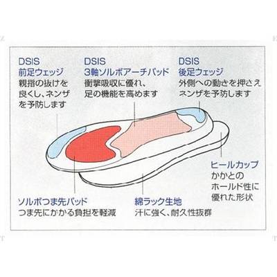 ソルボセイン DSISソルボバスケット