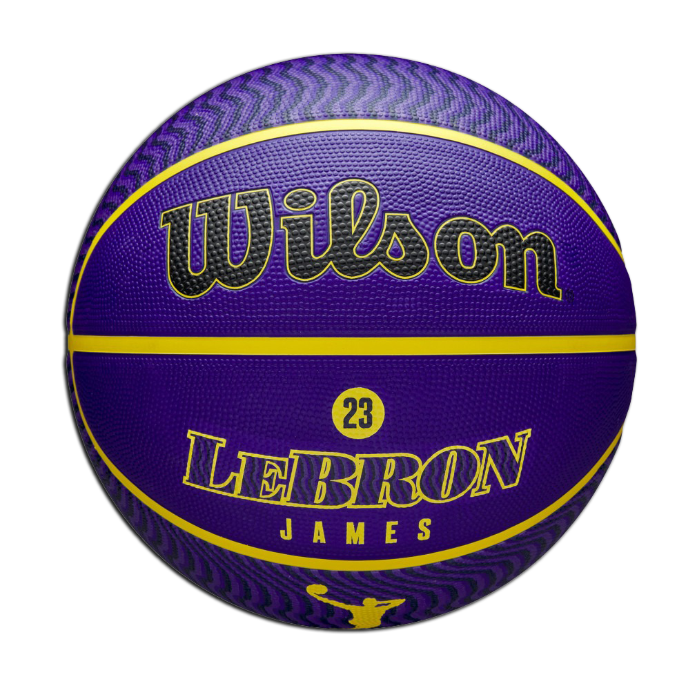 ウィルソン NBA PLAYER ICON OUTDOOR レブロン 7号