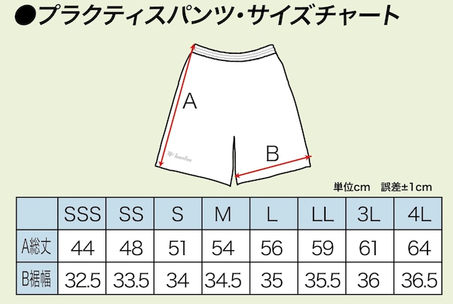 チームファイブ リミテッド昇華プラパン【APPL-089-12】