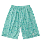 チャンピオン　SUBLIMATION SHORTS 【CBP5080 MT】